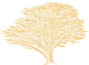 Durrus Famous Tree Motif